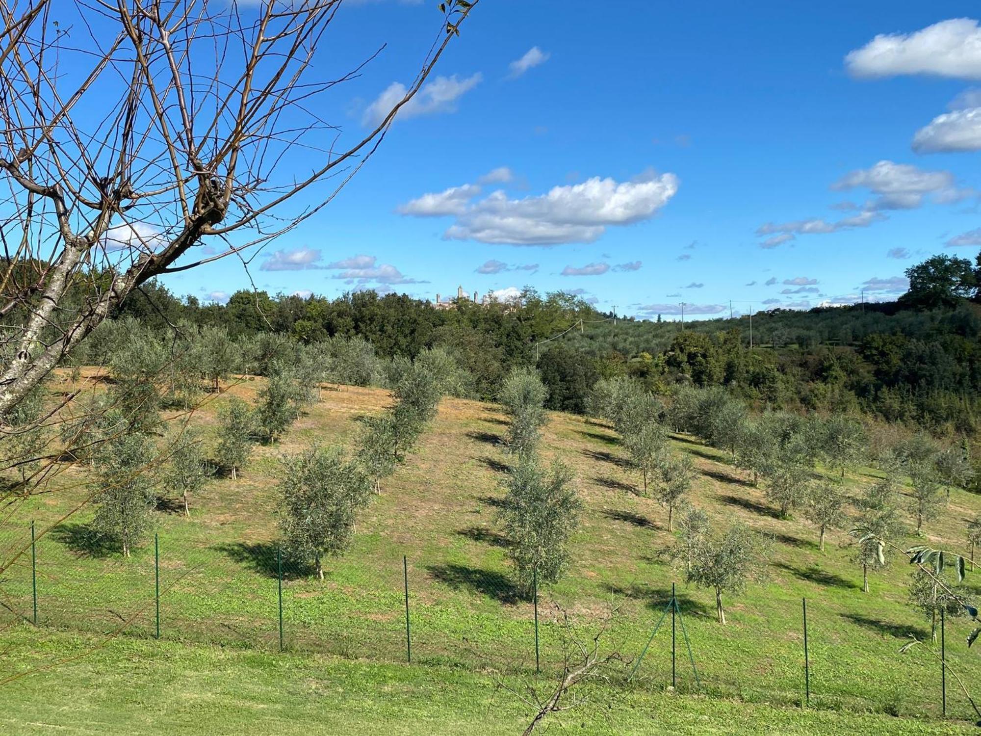 Podere Casanuova San Gimignano Ngoại thất bức ảnh
