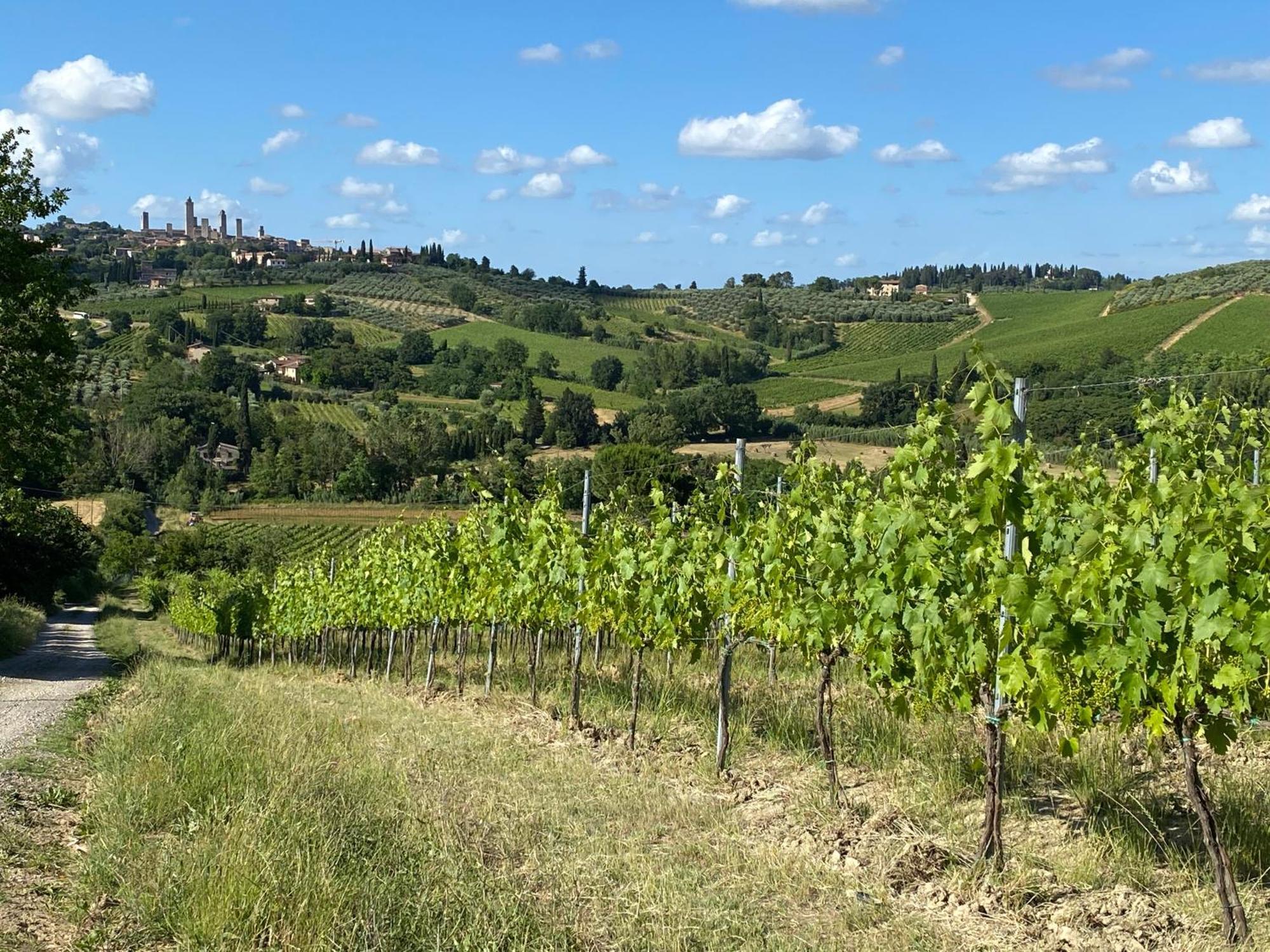 Podere Casanuova San Gimignano Ngoại thất bức ảnh