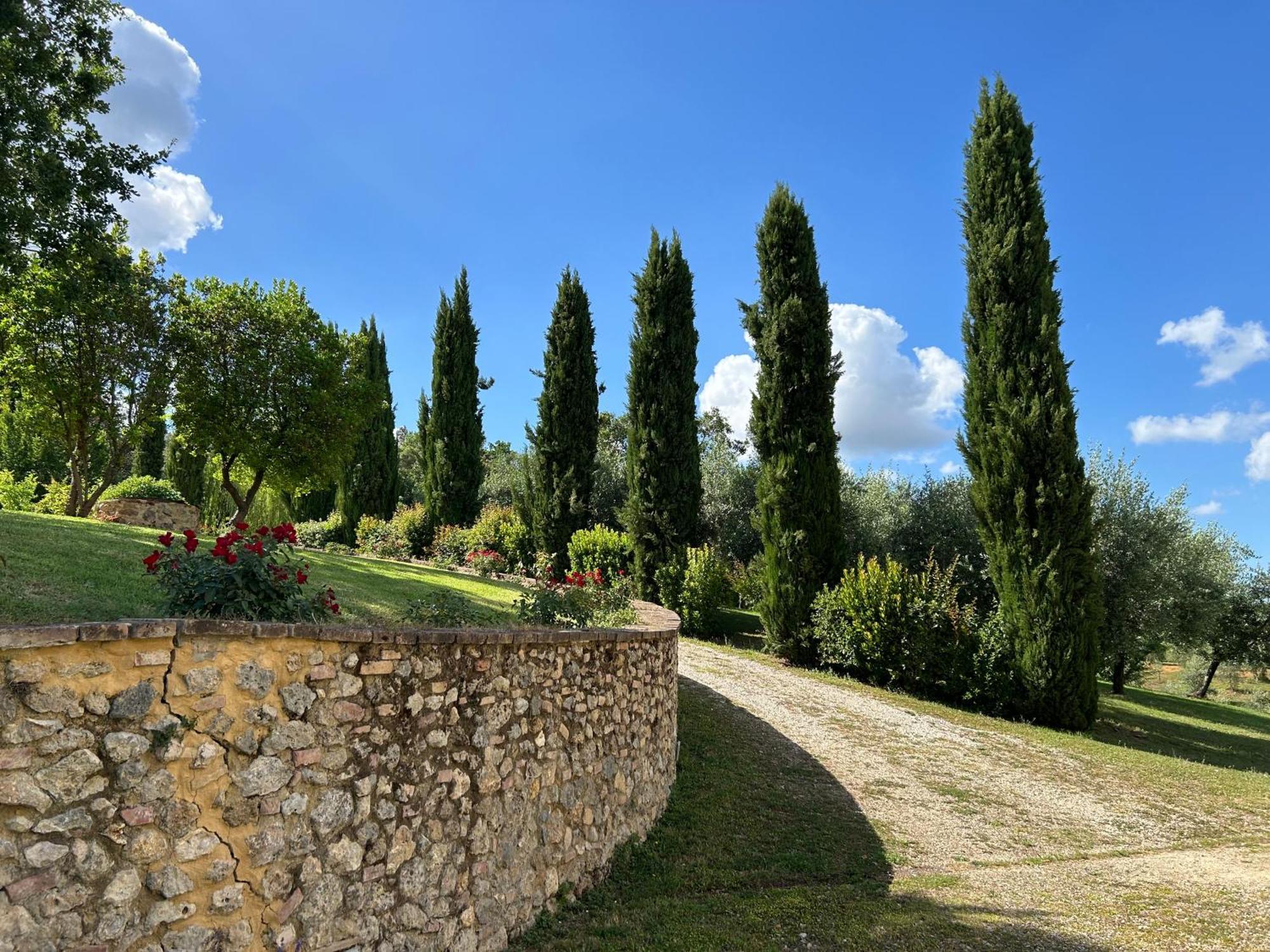 Podere Casanuova San Gimignano Ngoại thất bức ảnh