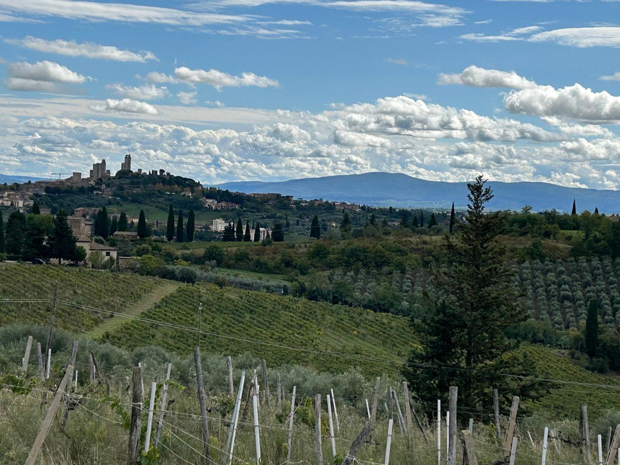 Podere Casanuova San Gimignano Ngoại thất bức ảnh