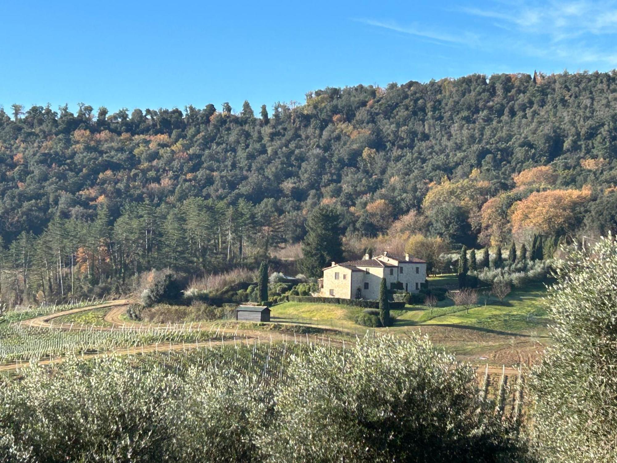 Podere Casanuova San Gimignano Ngoại thất bức ảnh