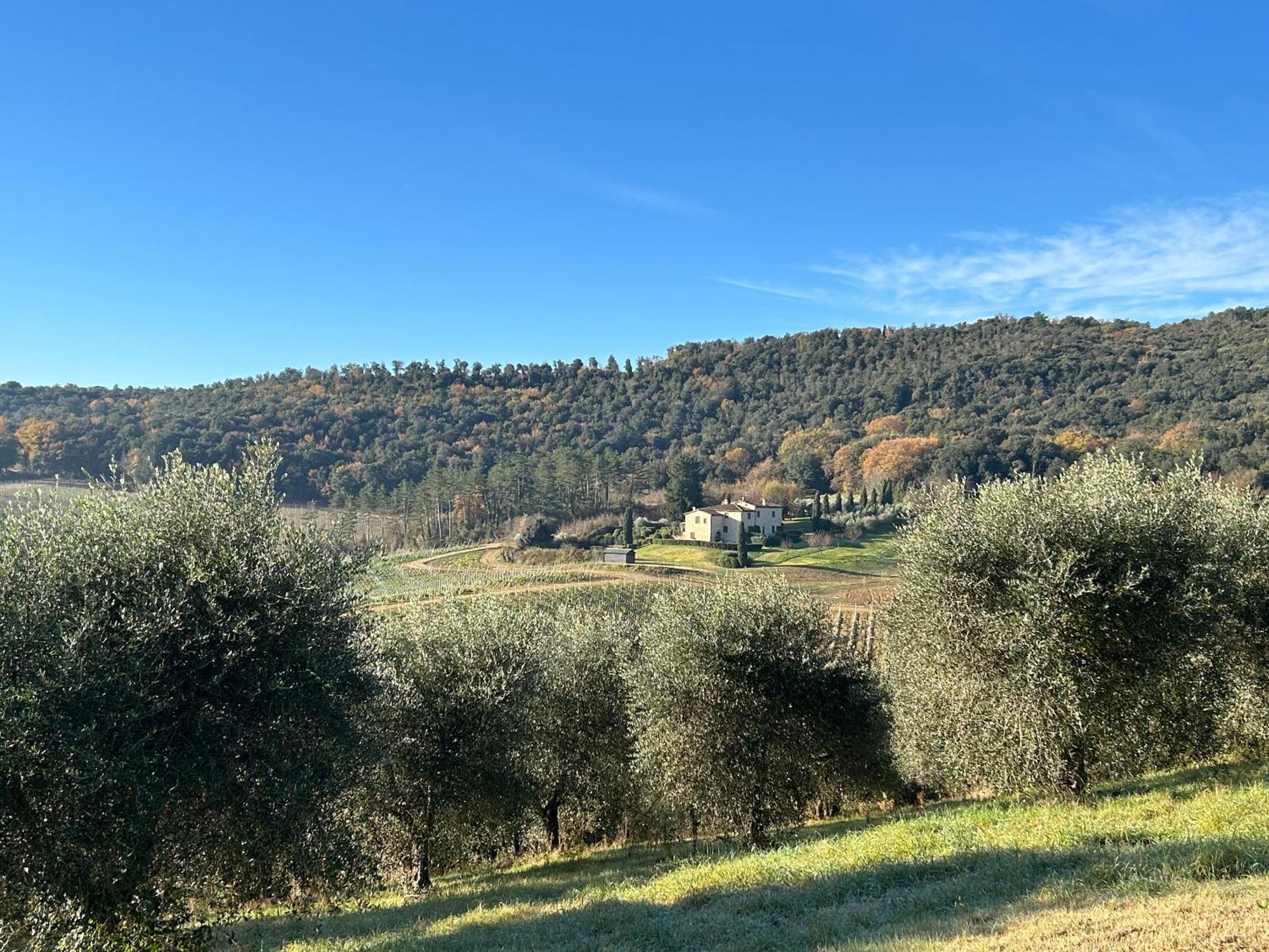 Podere Casanuova San Gimignano Ngoại thất bức ảnh