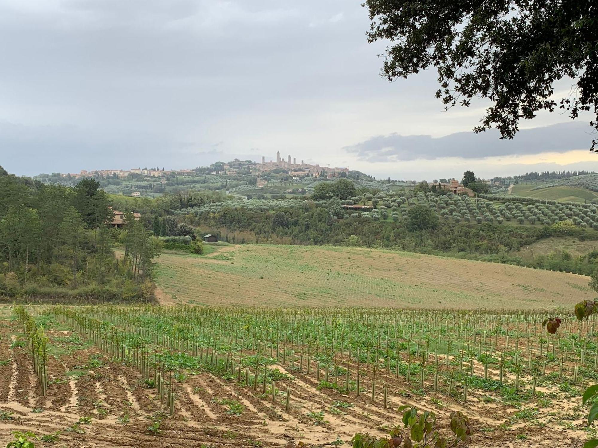 Podere Casanuova San Gimignano Ngoại thất bức ảnh