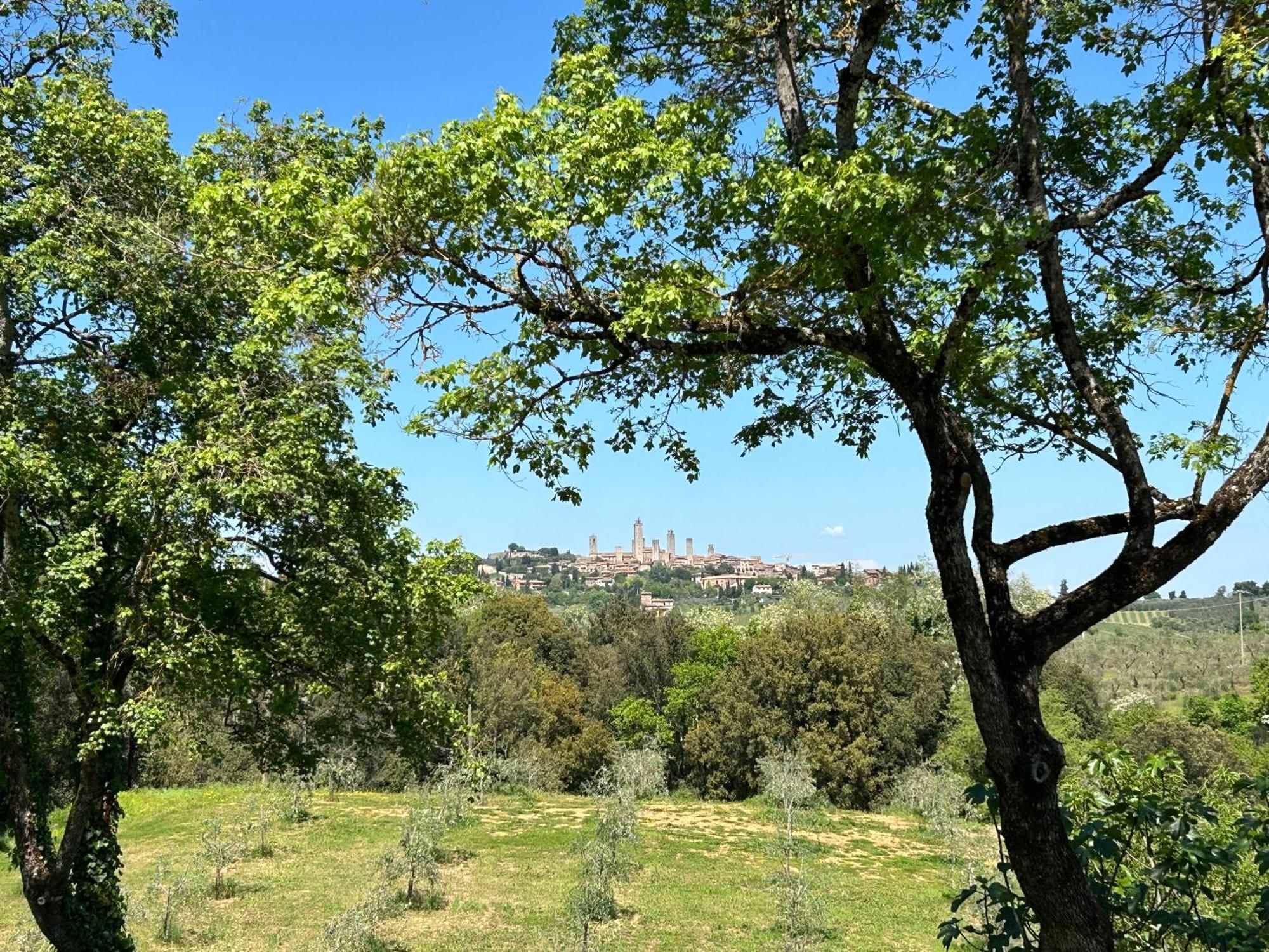 Podere Casanuova San Gimignano Ngoại thất bức ảnh